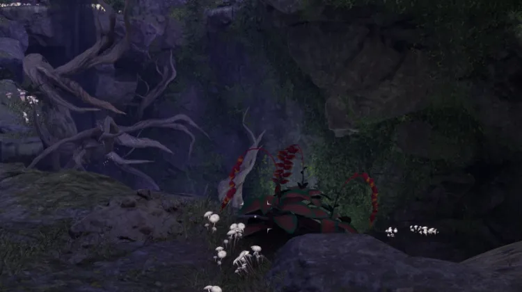 स्वर्गीय सीढ़ी