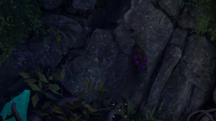 Baccello dell'Anima Dimenticata