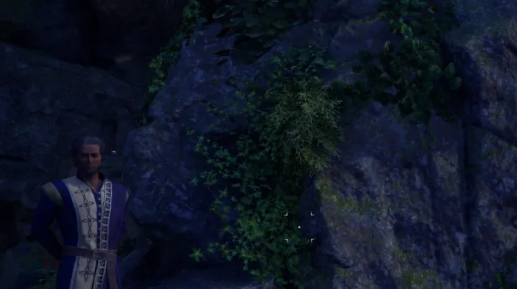 ขนของฮันต์