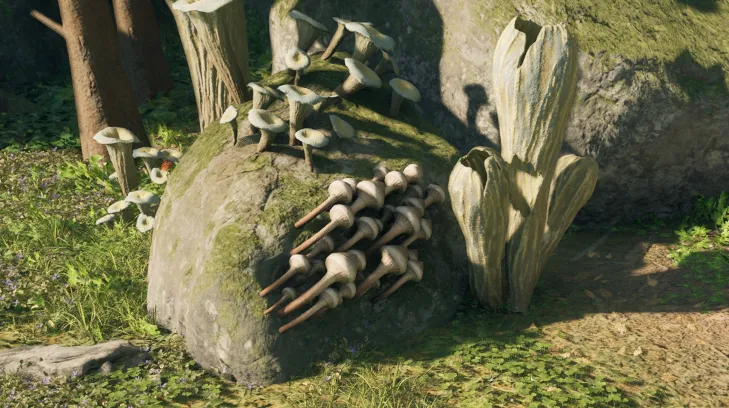 ลูกศรของผู้ตั้งถิ่นฐาน