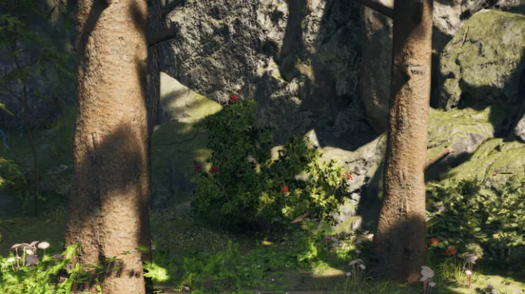 สปริงเบอร์รี่