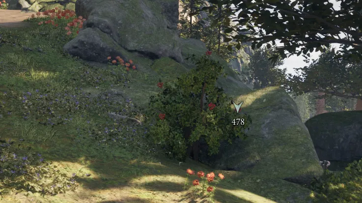 สปริงเบอร์รี่