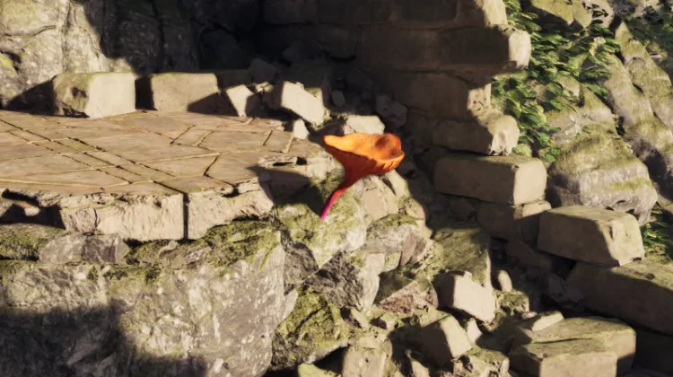 พรของแมกแรน