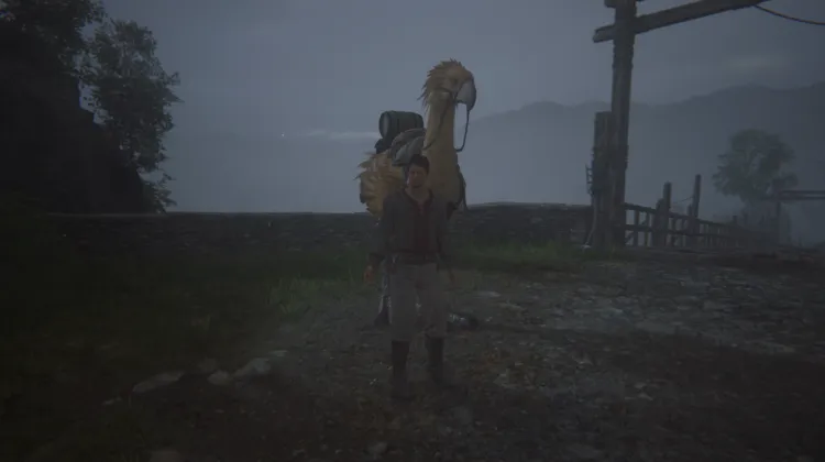 นกปีกขาวแห่งปาฏิหาริย์