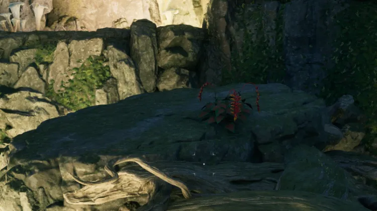 स्वर्गीय सीढ़ी