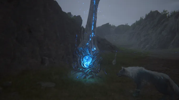 Klif Krzyku Jastrzębia