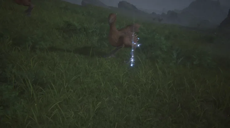 ของรางวัล