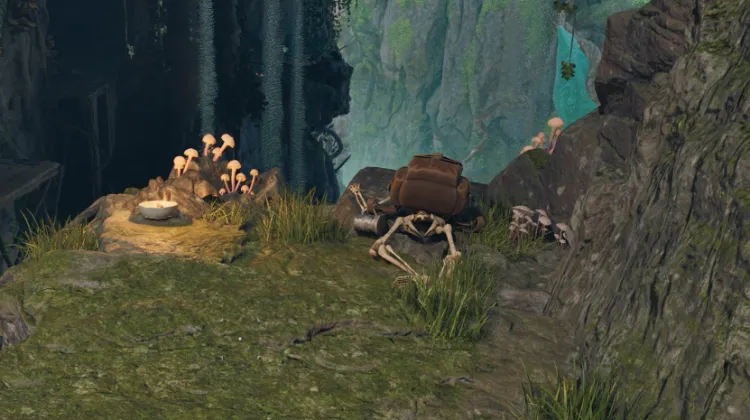 칼로드에게 보내는 편지