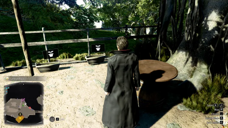 Central Plaza Planters - Rich Island