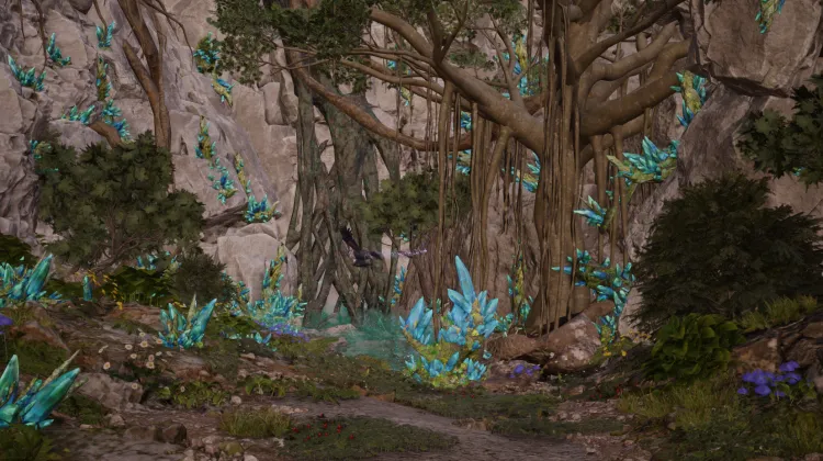 Chocobluff Lifespring