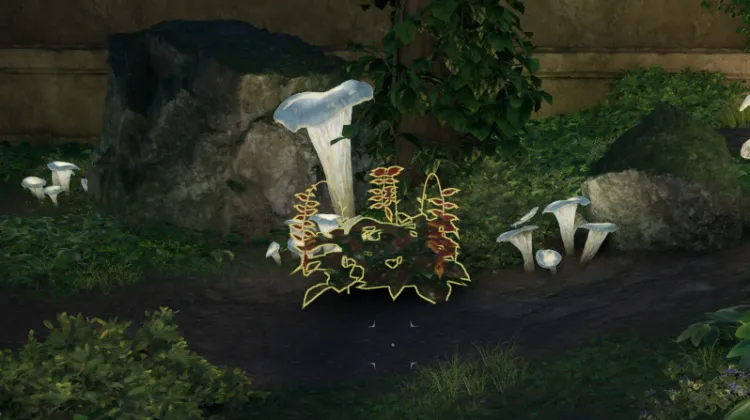 स्वर्गीय सीढ़ी