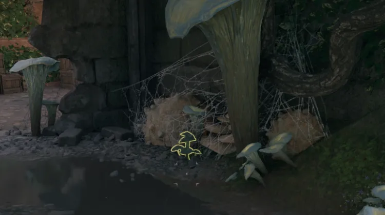 หญ้าเงา