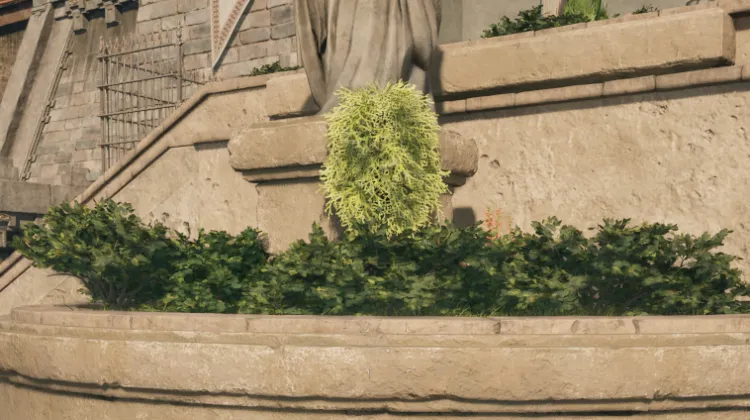 ขนของฮันต์