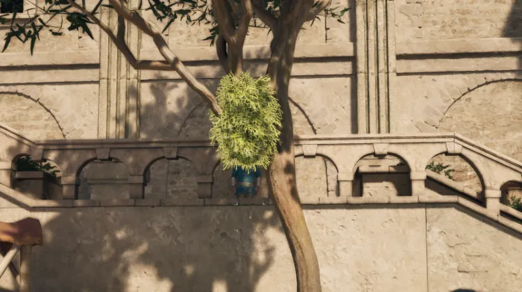 ขนของฮันต์