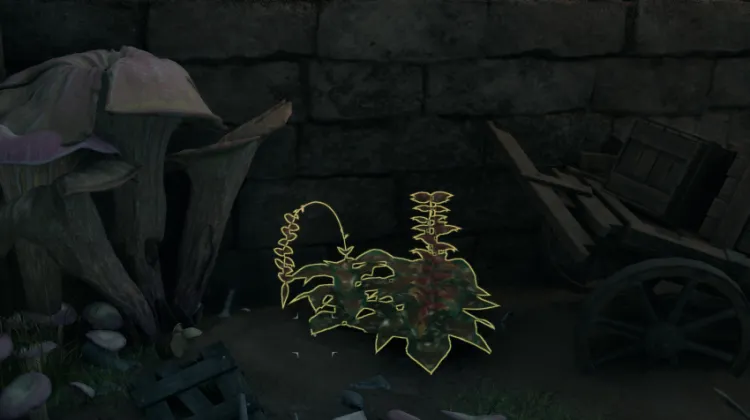 स्वर्गीय सीढ़ी