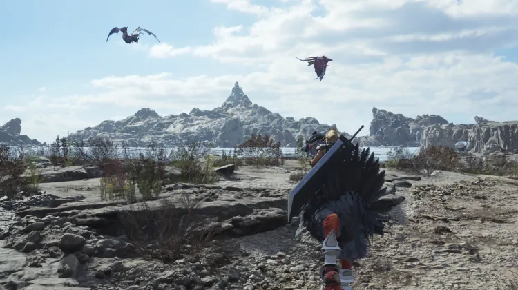 Fleetwing & Ignilisk