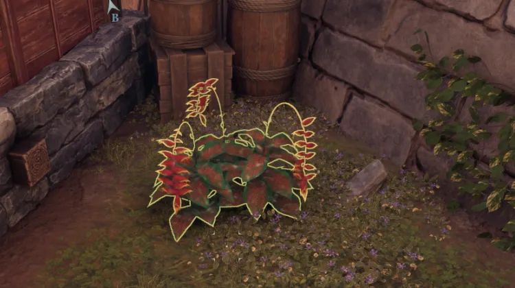 स्वर्गीय सीढ़ी