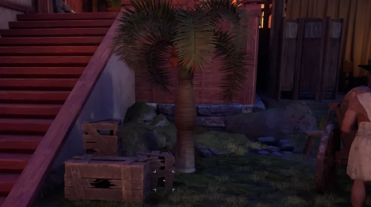 หินปาล์ม