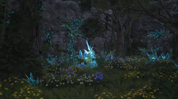 Pharecape Lifespring