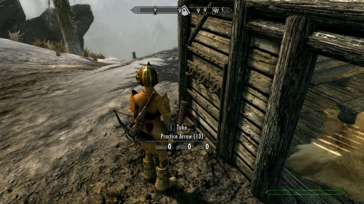 अभ्यास तीर