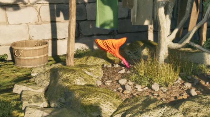 พรของแมกแรน