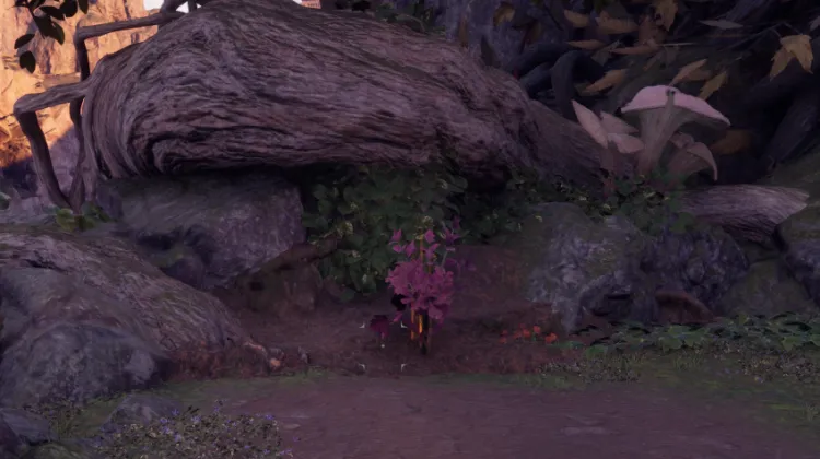 Ondra'nın Öpücüğü