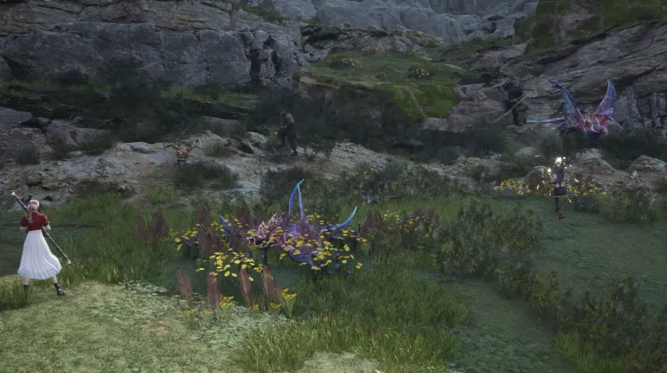 Fleetwing, Ignilisk & Capparwire