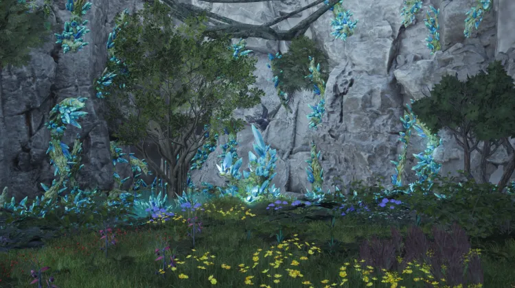 Mountain Outpost Lifespring