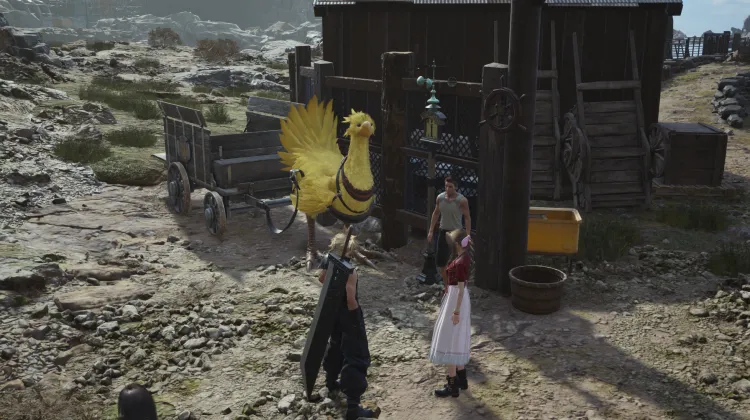 Chocobo Carriage