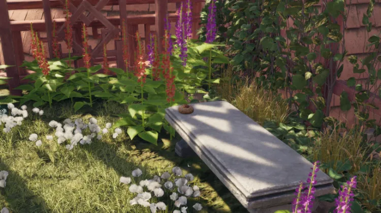 Cookie au Chocolat Noir Rauataian