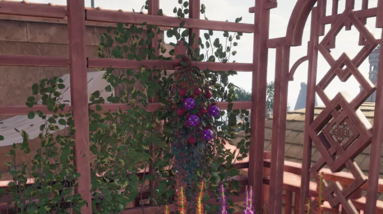 Capsule d'Âme Oubliée