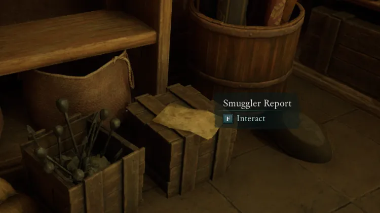 Rapport du Contrebandier