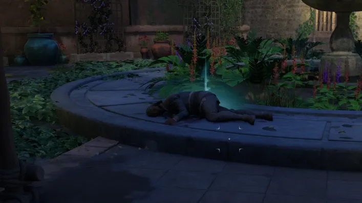 파라디스 민병대