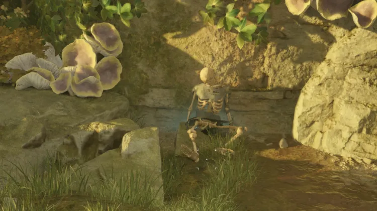 โครงกระดูก