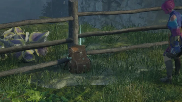 เป้สะพายหลัง