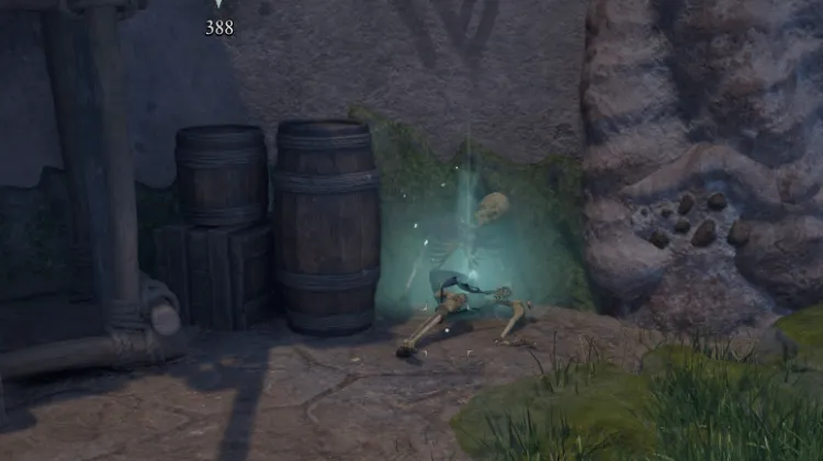 โครงกระดูก