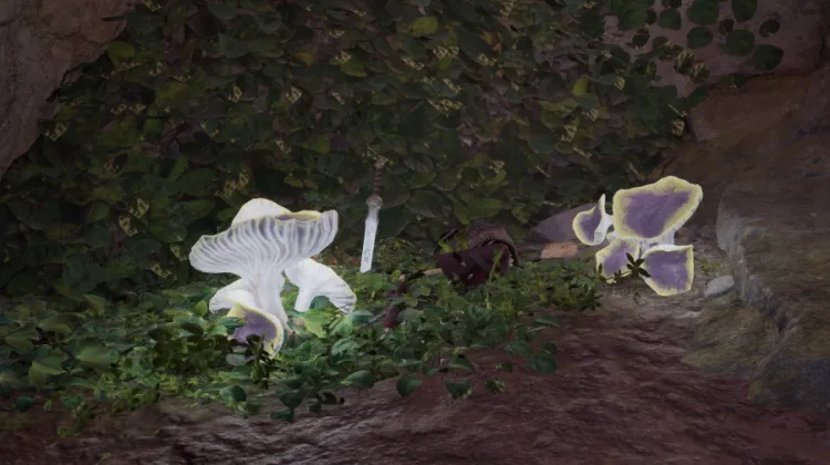 โครงกระดูก