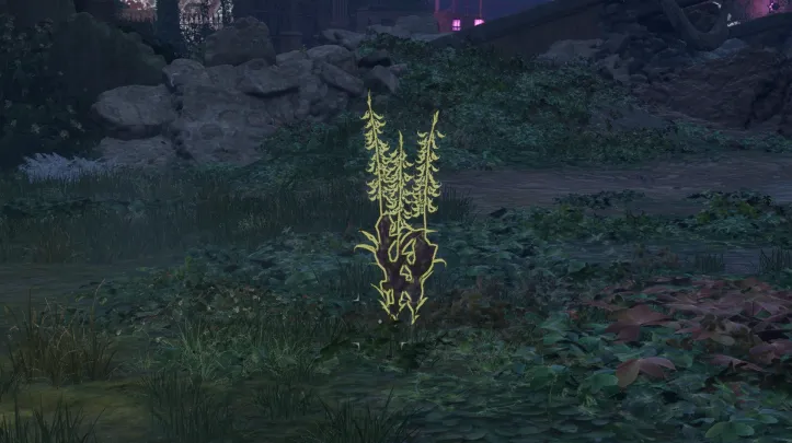 हाइलिया का पंजा