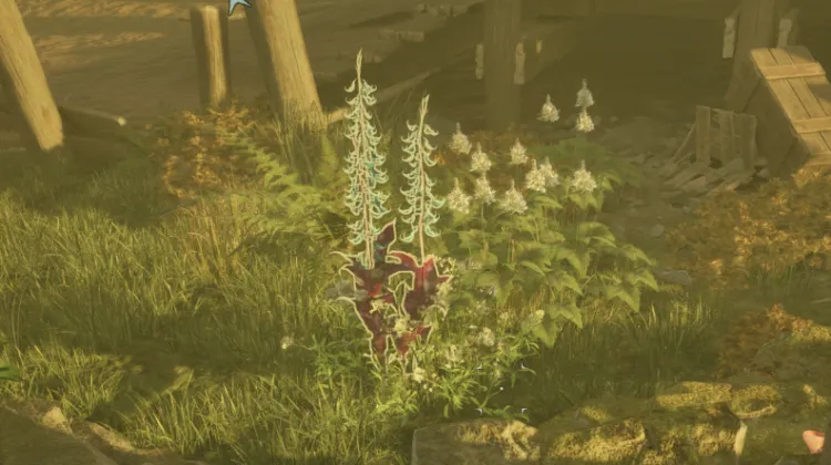 हाइलिया का पंजा