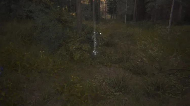 ไอเทมหยิบเก็บ