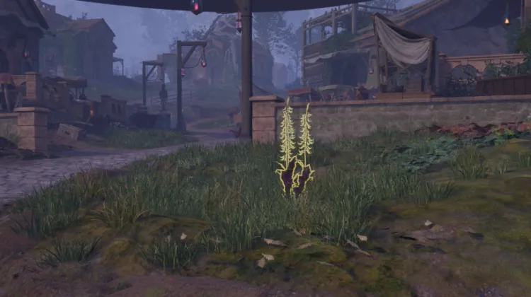 हाइलिया का पंजा