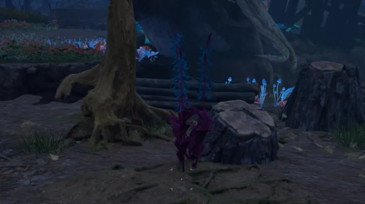 हाइलिया का पंजा