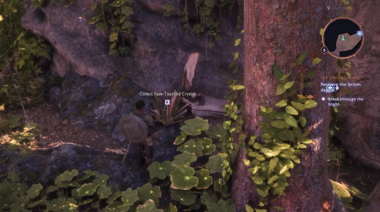 Cristal Tocado por el Desvanecimiento