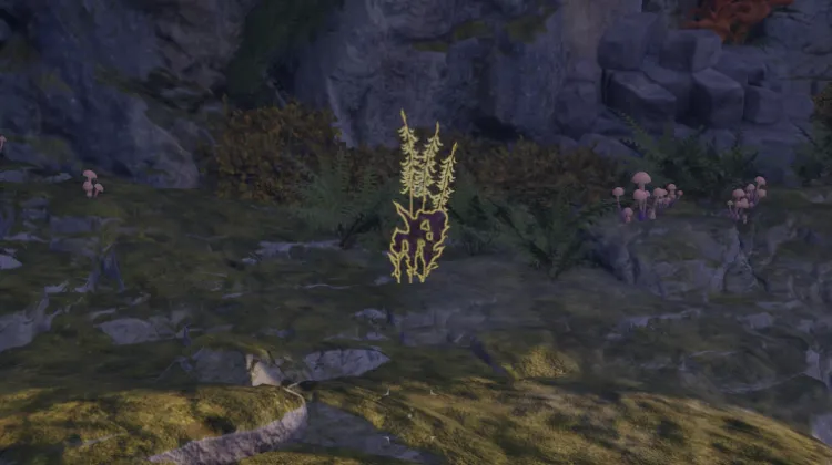 हाइलिया का पंजा