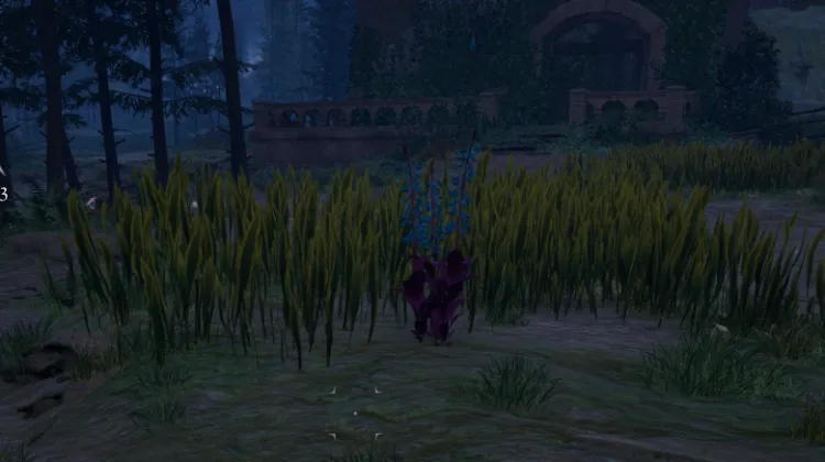 हाइलिया का पंजा