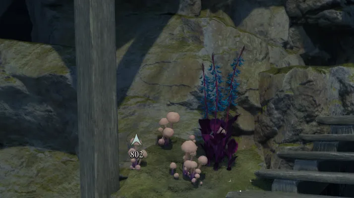 हाइलिया का पंजा