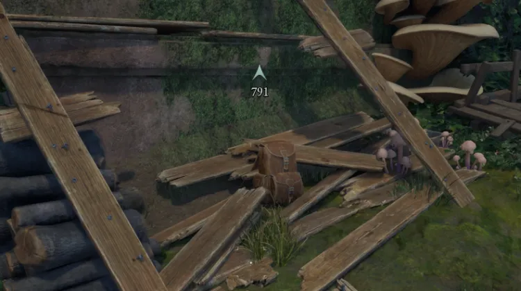 เป้สะพายหลัง