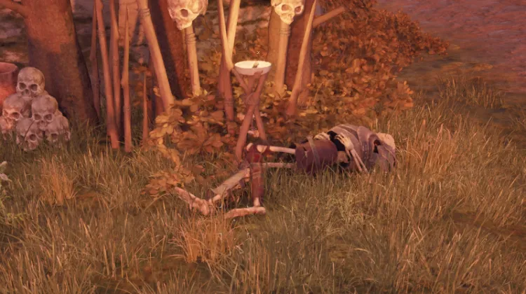 โครงกระดูก