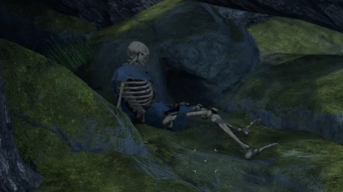 โครงกระดูก