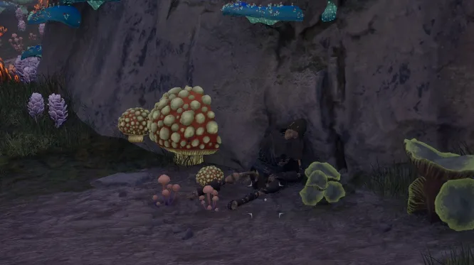 โครงกระดูก